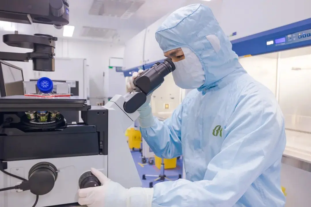 Un técnico de Beike con traje de sala blanca estéril examina células madre cultivadas bajo un microscopio